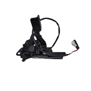 Chapa de Capo Hyundai Elantra 17-20