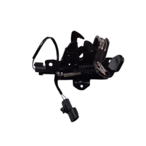 Chapa de Capo Hyundai Accent 18